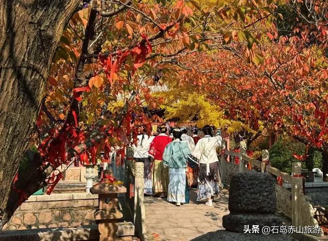 赤山红叶已红透！这场治愈之旅，错过等一年！