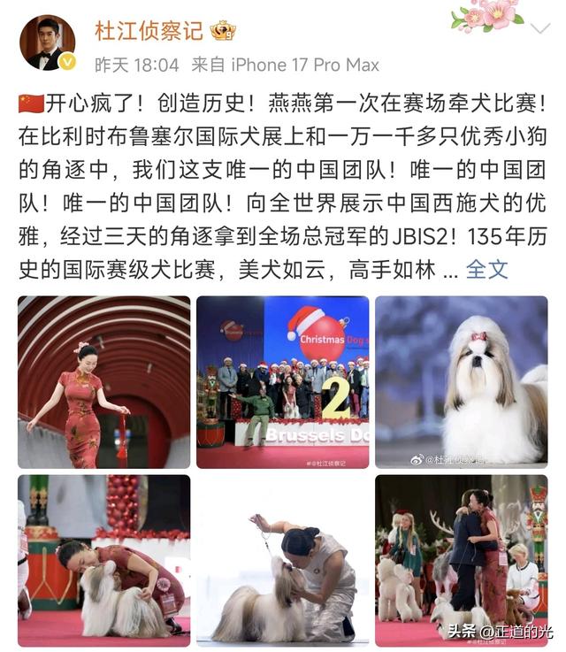 霍思燕穿旗袍携爱犬夺冠前凸后翘丰乳肥臀 难怪杜江对她生理性喜欢