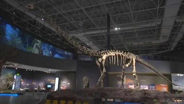 等你来打卡！河北两大新晋博物馆相继试运行