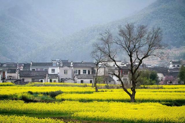 藏在宏村身后的水墨秘境:卢村,与时光对坐的千年古村!