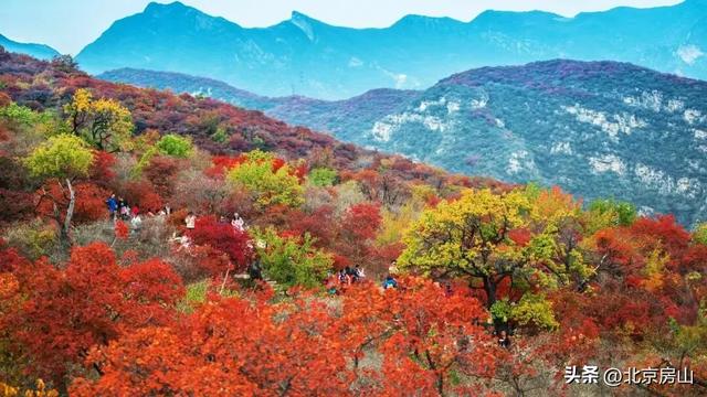 国庆假期圆满收官！房山文旅“火”力全开，秋日精彩不断档！
