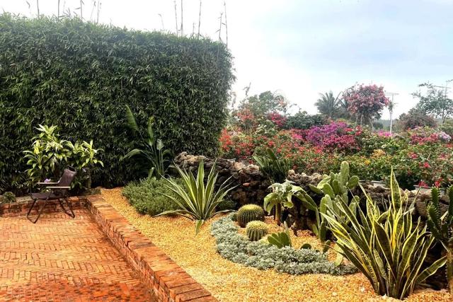 深度赏析海南三角梅赏花周6个最美花园 | 动态