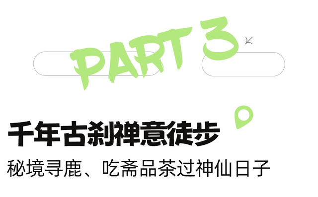 周末出国！高铁20min直达最美异域小城！风光极致美食无敌，入秋满城银杏美哭！