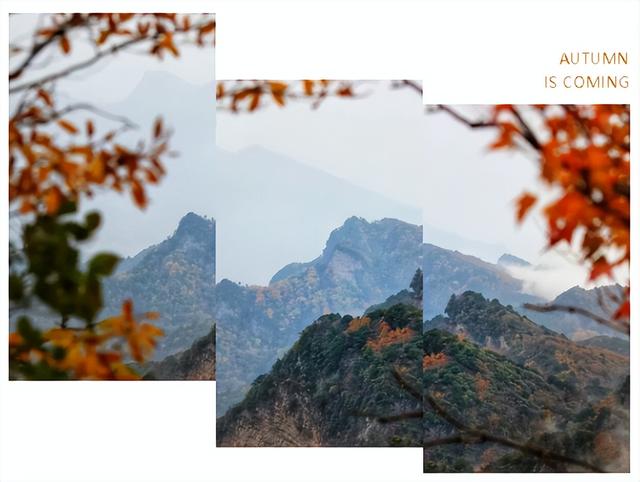 盐井峡红叶指数全省第二！这份专属赏秋攻略请查收