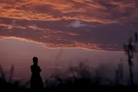 经历过一段失败的感情后，就真的不会再爱了吗？图片