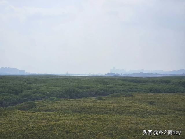 悠游泉州⑦:海内第一桥——洛阳桥（2025.2.8）