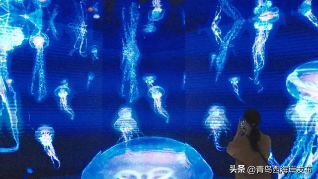 不是吧，西海岸遛娃还能这么酷！免费送票→