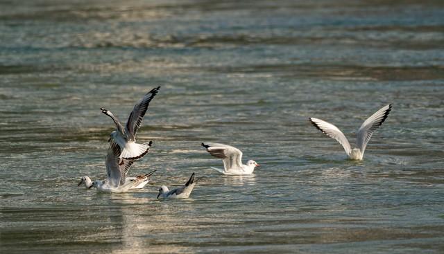 南行漫记：和宜宾握手再见，到李庄古镇打卡，今天跑到贵州