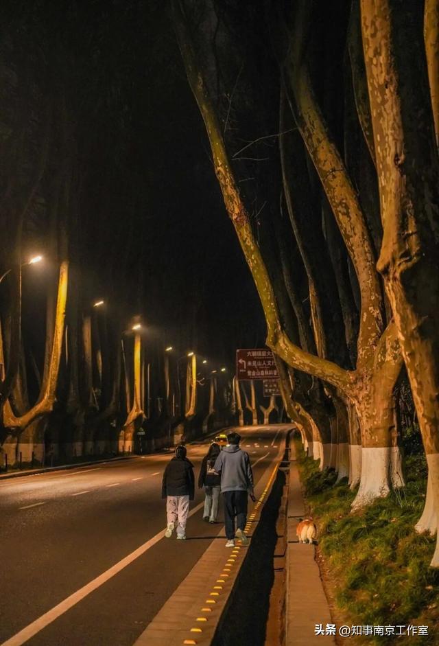 这块南京顶流打卡地居然变成这样了？