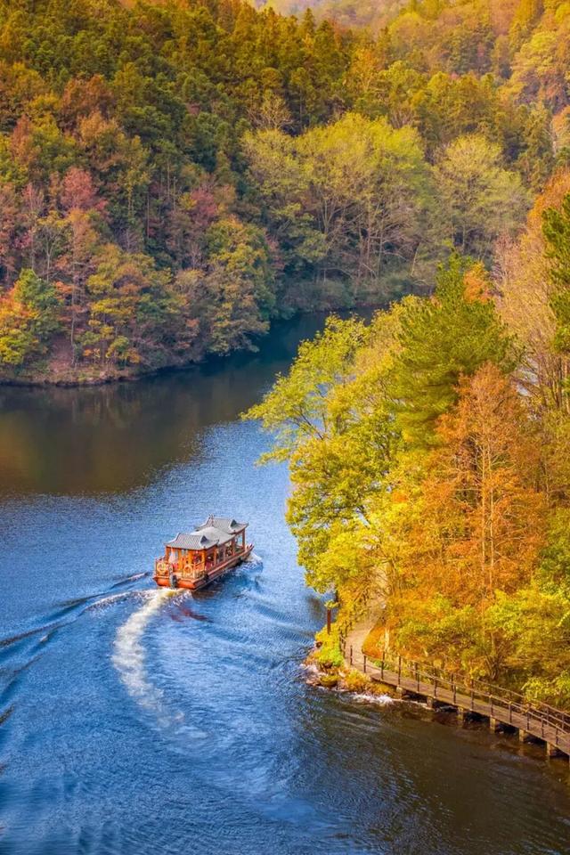 最长春节假期来黄陂!9天撒欢不重样