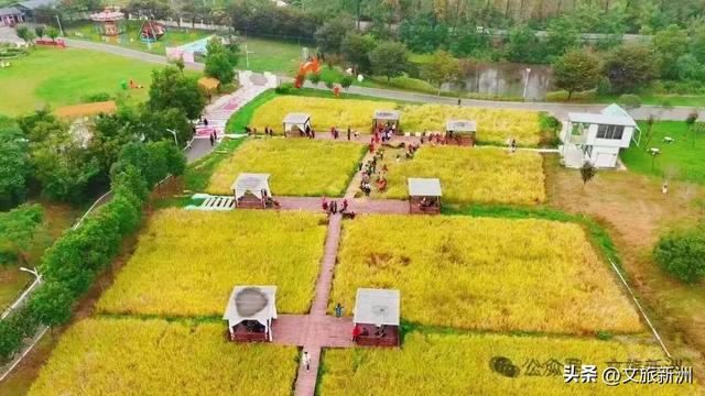 收藏秋日宝藏学玩地图!趣游新洲,为知识充“秋”电