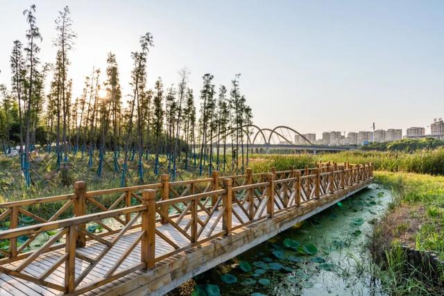 1元的包子，4块钱的蒸饺，这座城给人的幸福感怎么能这么高啊！