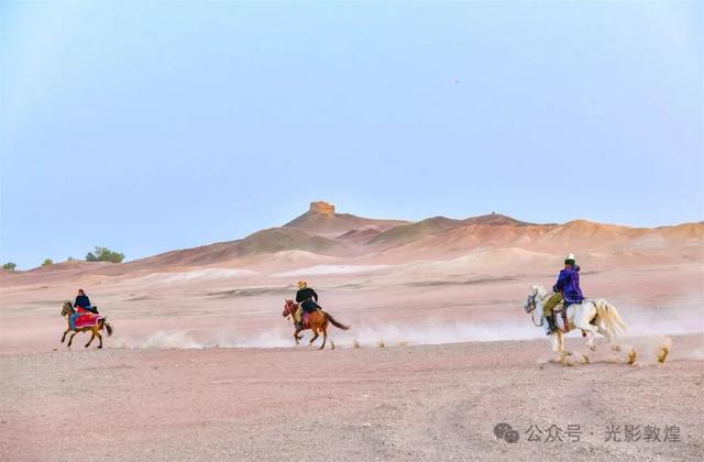 新疆“东天山来的骆驼队”抵达敦煌阳关
