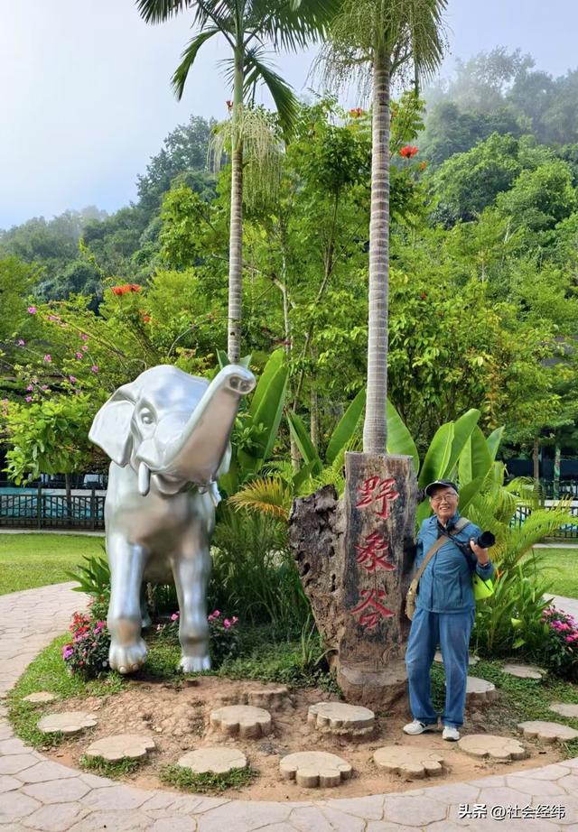 每日一景|西双版纳野象谷风景区