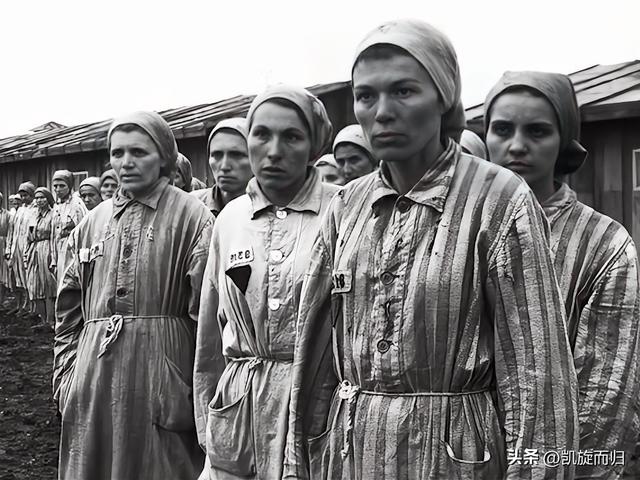 从受难者到争议者！犹太民族为何屡陷，被世界排斥的循环？