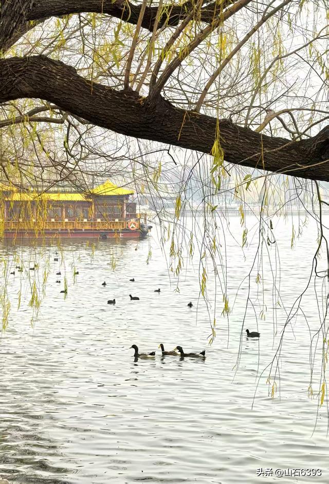 新华社原军事记者陶俊峰泉城美拍：《冬雾中的大明湖》