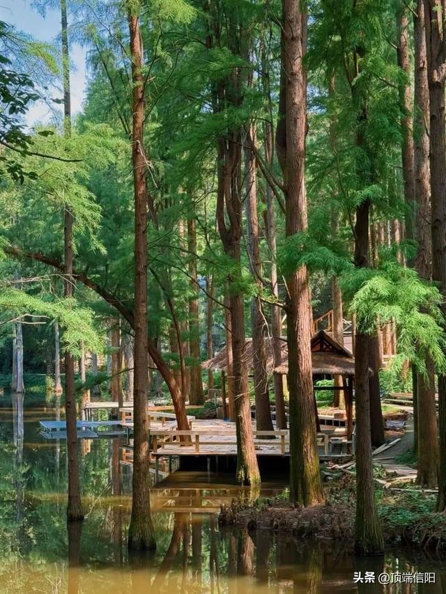 三月女士免票，男士半价！鸡公山邀您双园畅玩