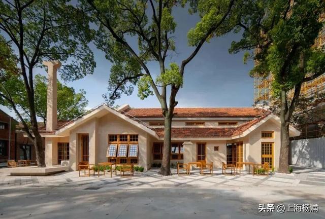 周末来复兴岛，做休闲“岛民”