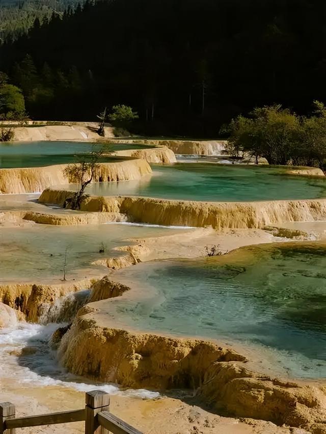 一泡尿“毁”了全家！男童尿进黄龙彩池，景区硬气通报：永久禁入