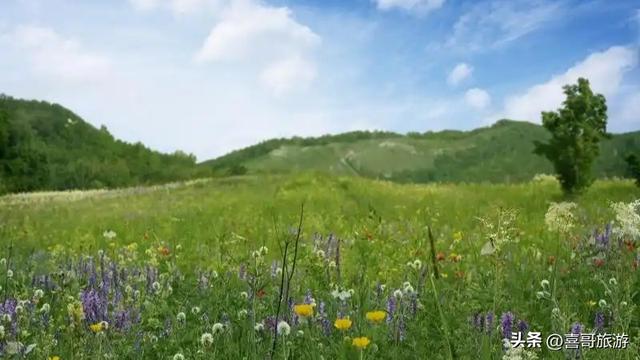 探秘三江之巅：桦南七星峰国家森林公园纪行