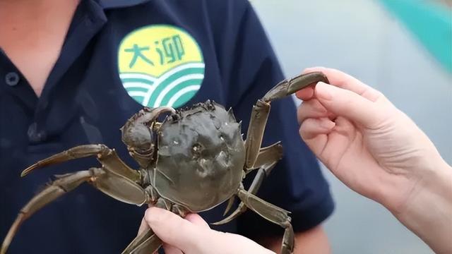 预告丨“沪派江南-复兴市集”开市啦！本周六一起来逛吃玩