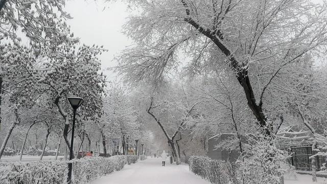 冰雪盛宴，辉煌未来