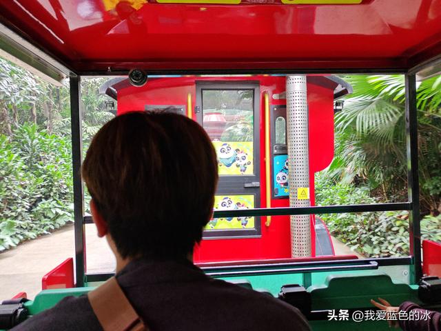 参观广州长隆野生动物园，全程感觉眼累手累腿不累