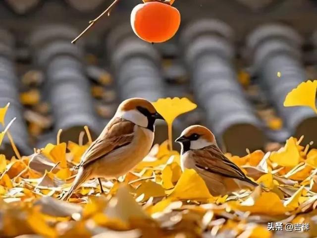 两性关系：在爱情里，最伤人的是“不被理解”