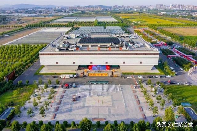 好客山东好品山东｜赶兰陵千年大集，赴一场烟火与诗意的约会