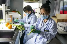 农药残留检测员证书报名方式？颁发单位？多久出？拿证步骤和要求图片