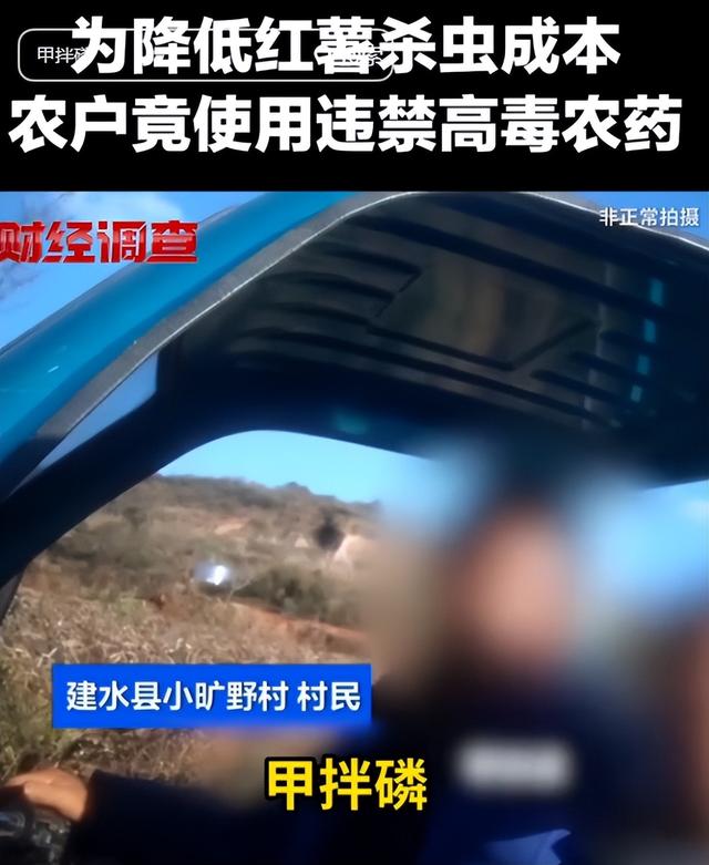 央视曝光毒红薯！商户主动投毒	，流窜至全国多地，背后利益链曝光