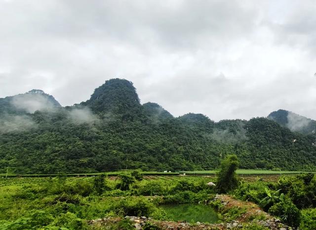 美丽的风景在路上！
