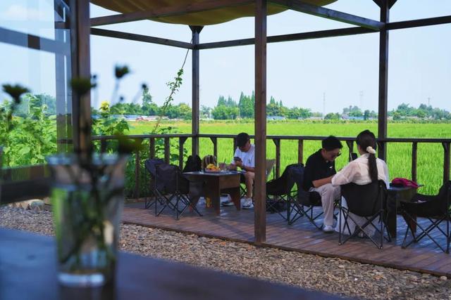 夏崃｜在稻浪绿海中，邂逅漫画夏天与“岛屿”假日