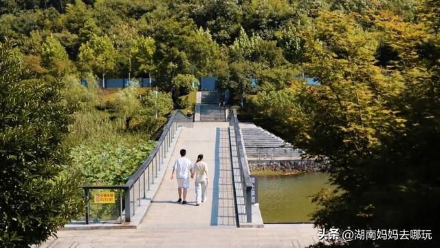 30分钟登顶！长沙私藏小众徒步路线，一站解锁遛娃顶“尖”玩法