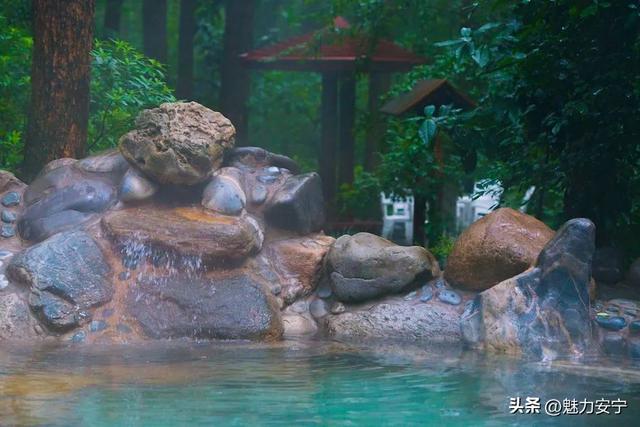 草原阿姨“南下记”：逃离塞北热浪，一头扎进安宁温泉 | 旅居安宁
