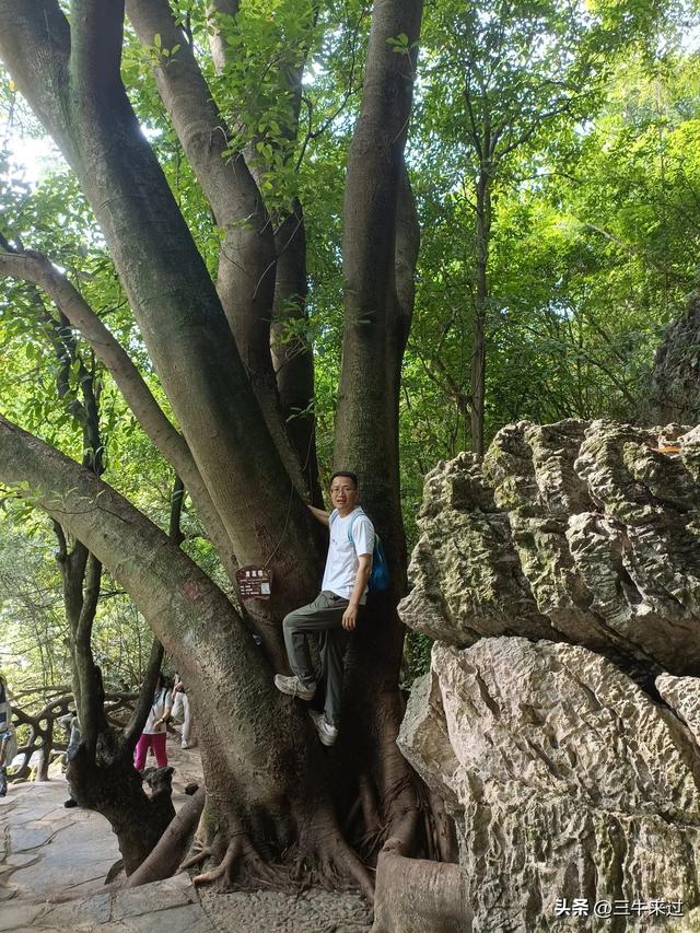 无为在歧路，贵州六日行（8）～黄果树