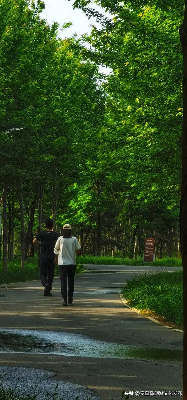 秦皇岛，凭什么成为TOP1？