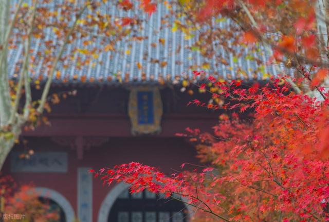 你知道秋天的南京的正确玩法吗？这些景点可不要错过！先收藏起来