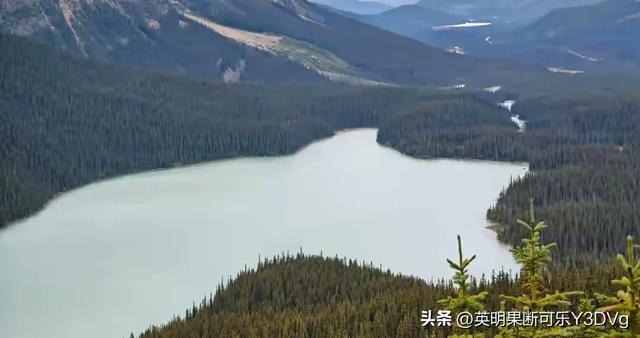 主持人杨帆一家在加拿大旅行，俩女儿一个像爸一个像妈，好幸福