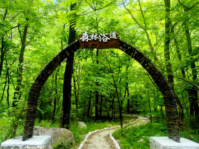 秦岭腹地“避暑天花板”！宝鸡的这座“慢城”清凉又治愈