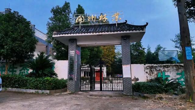 重访开州岳溪善字山:与一座山村的秋日对话,追寻记忆中的乡恋