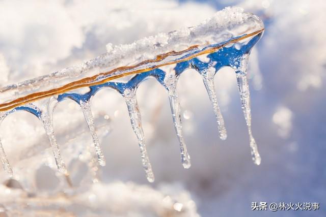 “三九寒不寒，看九月初一”，今日九月初一，今年冬天冷到哭吗？