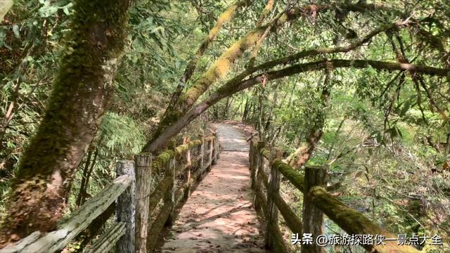 这里被称为陕南的九寨沟，到底值不值得去逛一趟呢？