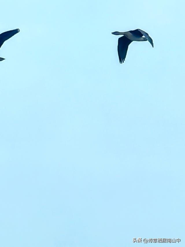 东西湖大堤绿道阻碍重重，现如何从江岸骑行到东西区大堤绿道？