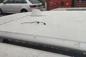 青岛又下雪了！这回是认真下的！市南、市北、李沧、崂山、城阳……网友：咋还是萝卜蹲式的？图片
