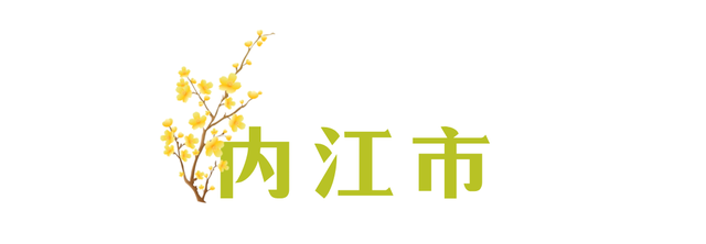 寒风再烈、冬日再冷，蜡梅照样艳压全场！