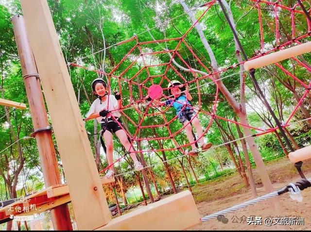 新洲宝藏营地上线!溯溪摸鱼×丛林穿越×星空烧烤,一站式撒野攻略→