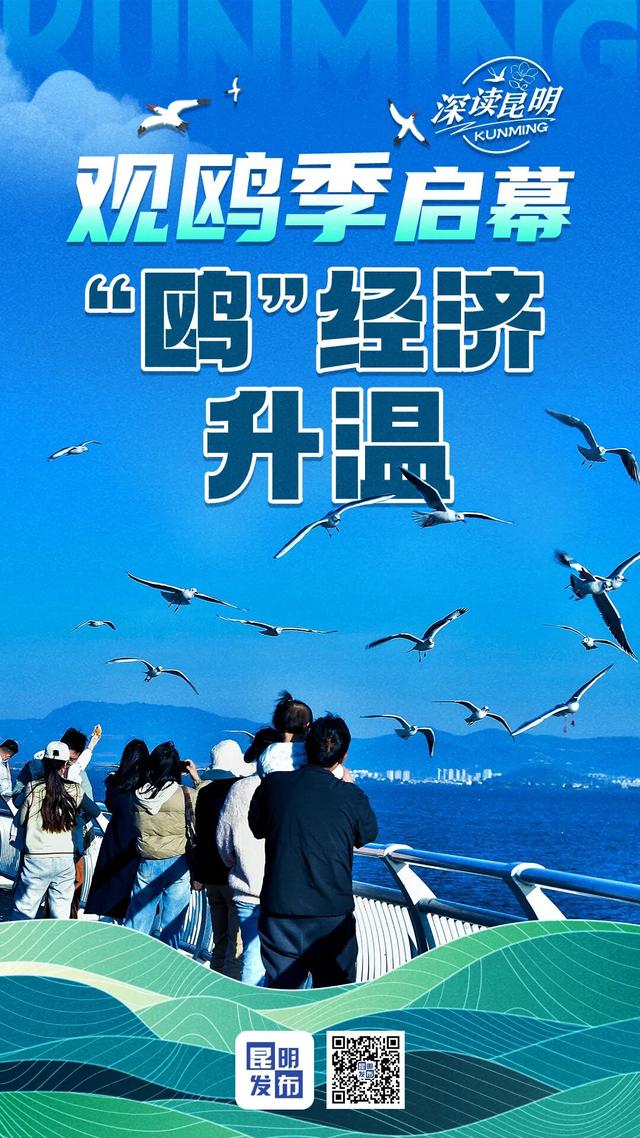 观鸥季启幕 “鸥”经济升温