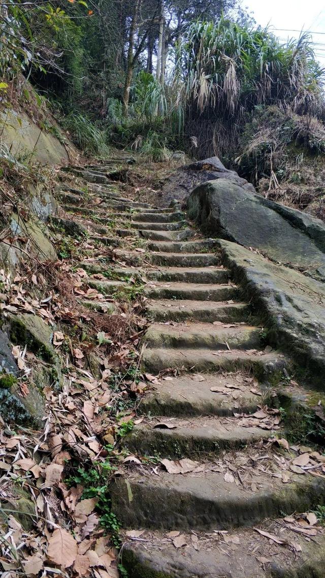 重庆荒效野岭发现大量石碑，碑身高大雕工精美，每块都有百年历史