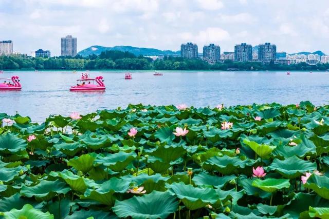 李白当年的“朋友圈”，你还不来点个赞？